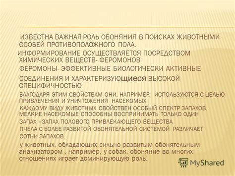 Важная роль феромонов в размножении ежей