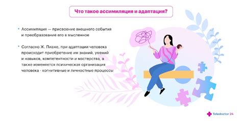 Важность адаптации и ее основные аспекты