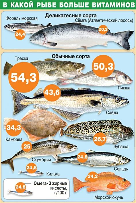 Важность витаминов в замороженной рыбе