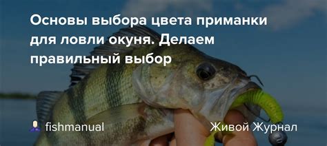 Важность выбора правильной приманки