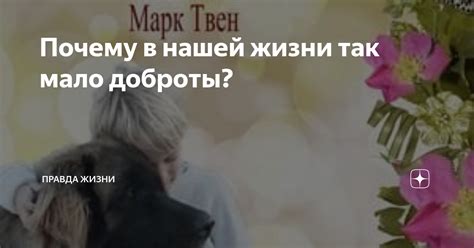 Важность доброты в нашей жизни