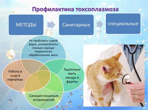 Важность информирования
