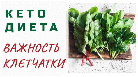Важность клетчатки в рационе
