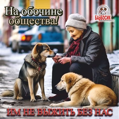 Важность любви и внимания для нашего благополучия