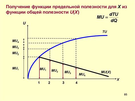 Важность общей полезности и предельной полезности в экономике