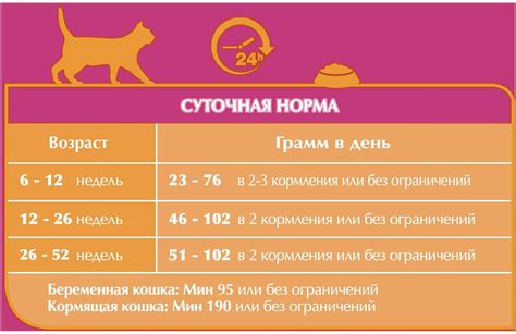 Важность осознанного кормления котят