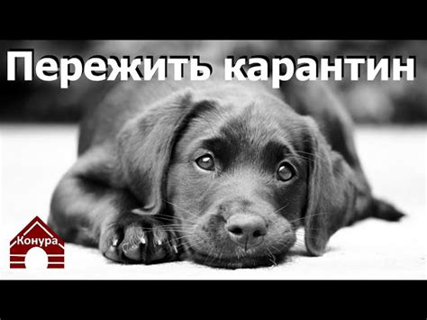 Важность первой прививки