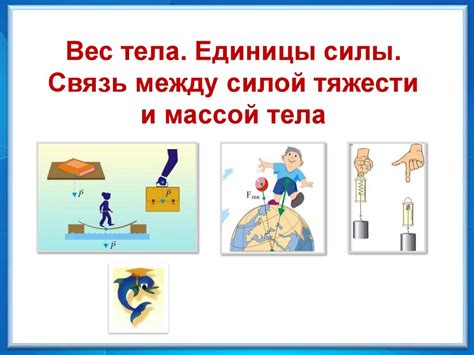 Важность понимания связи между весом и силой тяжести