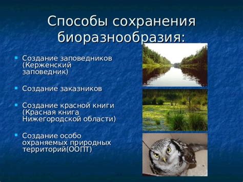 Важность понимания симбиотических отношений для сохранения биоразнообразия