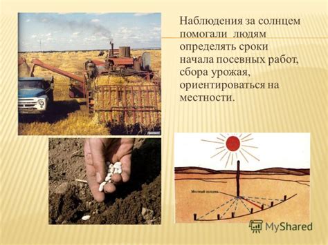 Важность правильного определения сроков начала посевных работ для урожая
