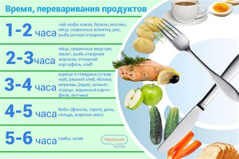 Важность правильного переваривания пищи