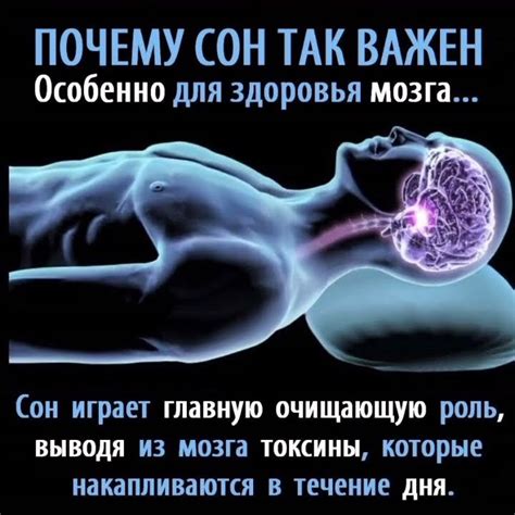 Важность сна для организма