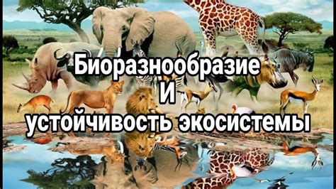 Важность сохранения косули для экосистемы
