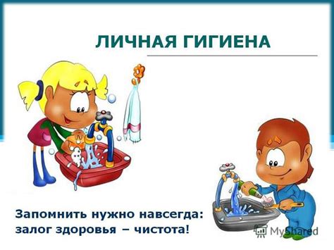 Важность чистоты и гигиены