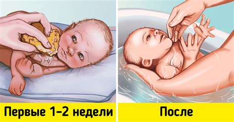 Важные вопросы о купании в череде новорожденных