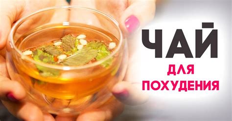Важные нюансы при использовании чая для похудения