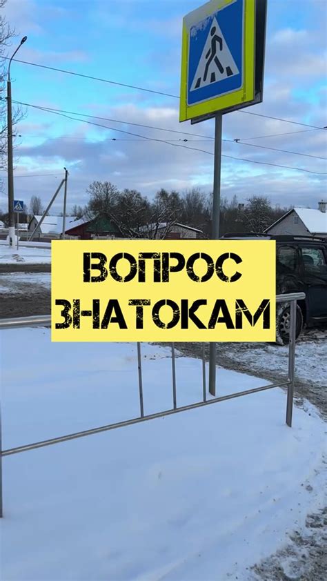 Важные советы для водителей относительно сеток на передних стеклах