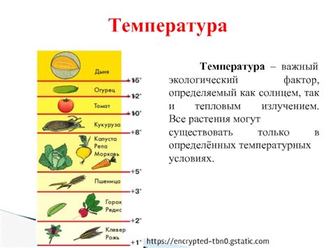 Важный фактор - температура помещения