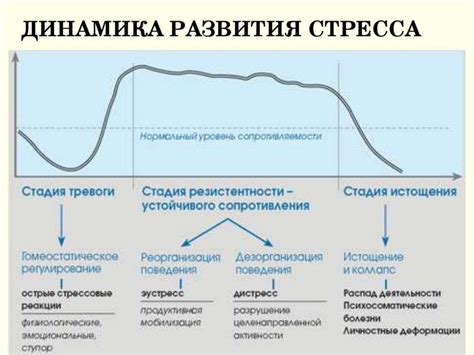Вазодилатация и реакция на стресс