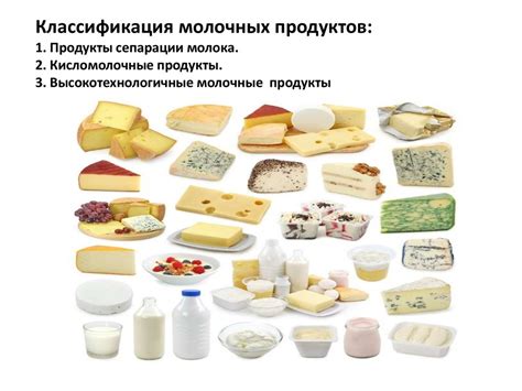 Варианты использования молока в рационе йорка