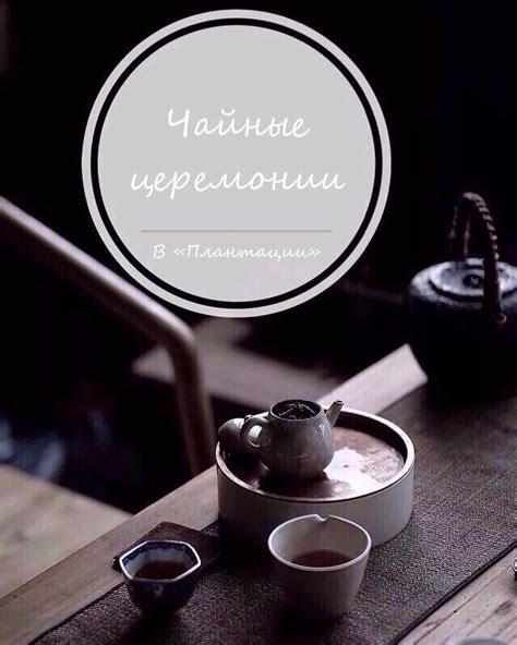 Ваш выбор: пуэр вечером
