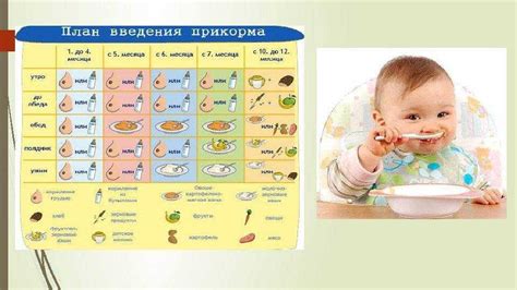 Ввод продуктов ребенку на ГВ: основная таблица разового кормления