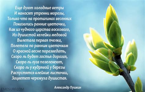 Вдохновение весной: стихи о любви