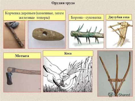 Век нулевой: почвы и первые инструменты