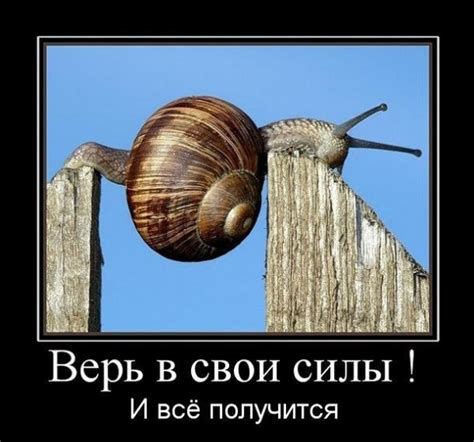 Верь в свои силы и добейся успеха