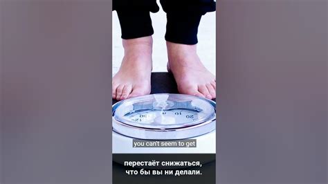 Вес: проклятие медленного метаболизма