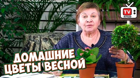 Весна: начало активного роста