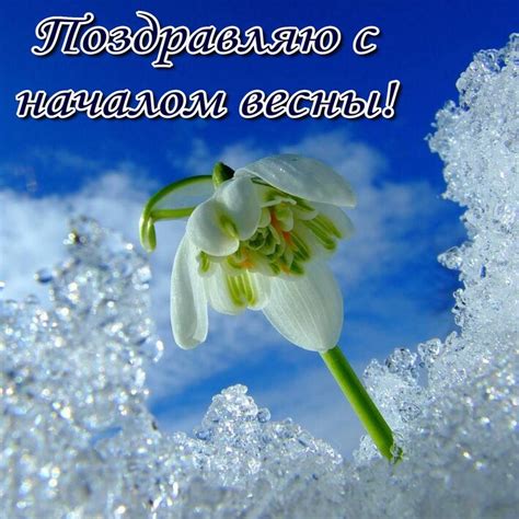 Весна с новым началом: избавление от негатива