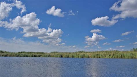 Весна - наслаждение красотой природы