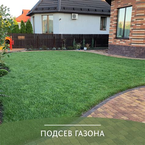 Весна - оптимальный сезон для подсева газона