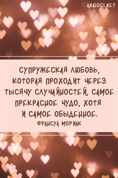 Вечность в глазах: Вечная любовь в сердце