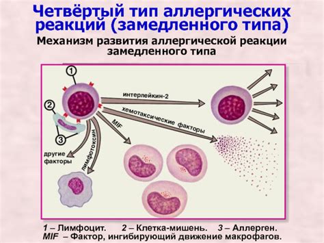 Вещества, содержащиеся в картошке, и возможные реакции у ребенка