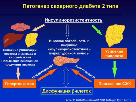 Взаимосвязь креветок и диабета 2 типа