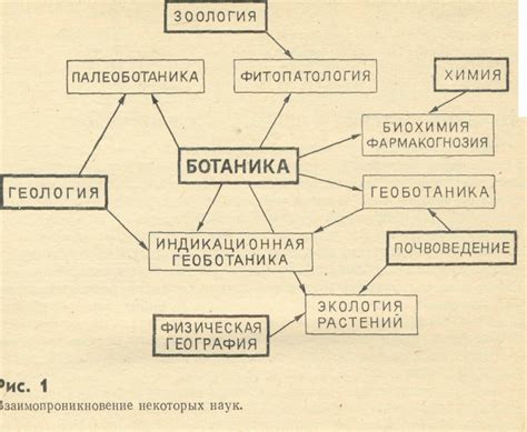 Взаимосвязь с другими фигурами