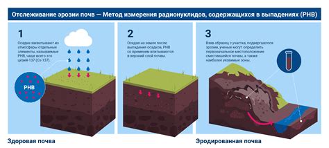 Виды дразнений