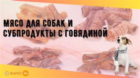 Виды свиных субпродуктов для собаки