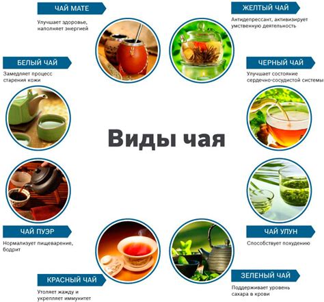 Виды чая, подходящие для приготовления с молоком
