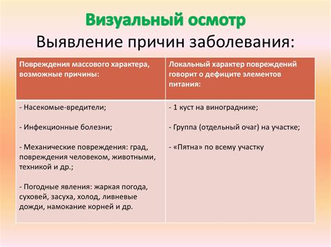 Визуальный осмотр и выявление проблем