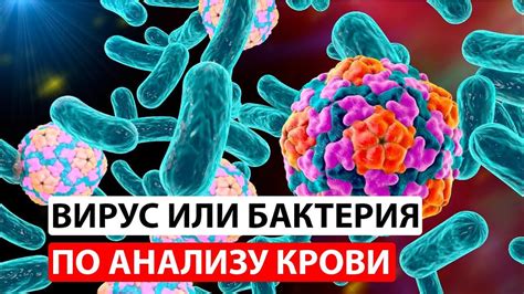 Вирусные инфекции и кровавая примесь при поносе
