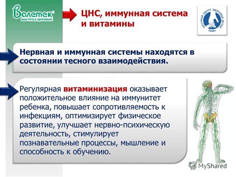 Витамины и иммунная система
