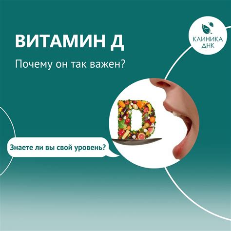 Витамин Д и К: оптимальное время применения