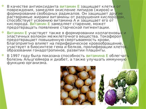 Витамин B6: улучшает иммунную функцию и снижает риск осложнений при ОРВИ