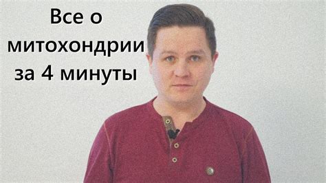 Вклад главных исследователей в изучение митохондрий