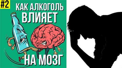 Влияние алкоголя на поведение Тельцов