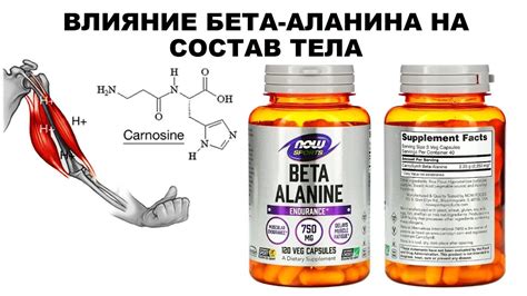 Влияние бета аланина на тренировки: оптимизация результата