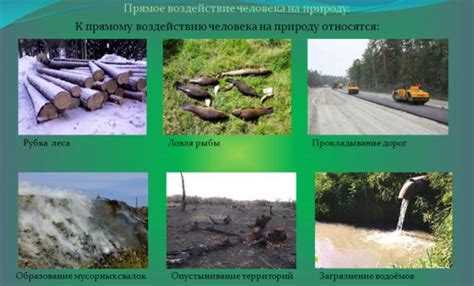 Влияние воздействия на растения